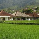 Pola Hidup Sederhana Mulai Banyak Diterapkan Masyarakat