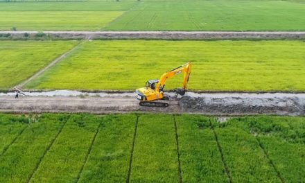 Aktivitas Ekonomi Daerah Terus Berkembang Di Berbagai Wilayah